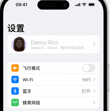 通海appleID维修服务iPhone设置中Apple ID显示为灰色无法使用