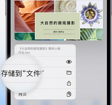 通海apple维修中心分享iPhone文件应用中存储和找到下载文件