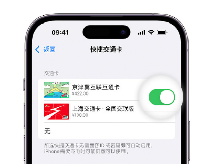 通海apple维修点分享iPhone上更换Apple Pay快捷交通卡手绘卡面 