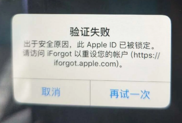 通海iPhone维修分享iPhone上正常登录或使用AppleID怎么办 