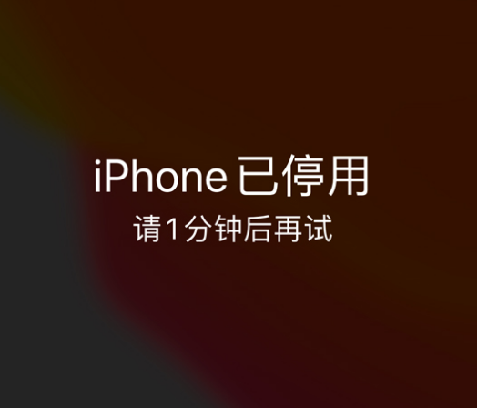 通海苹果手机维修分享:iPhone 显示“不可用”或“已停用”怎么办？还能保留数据吗？ 