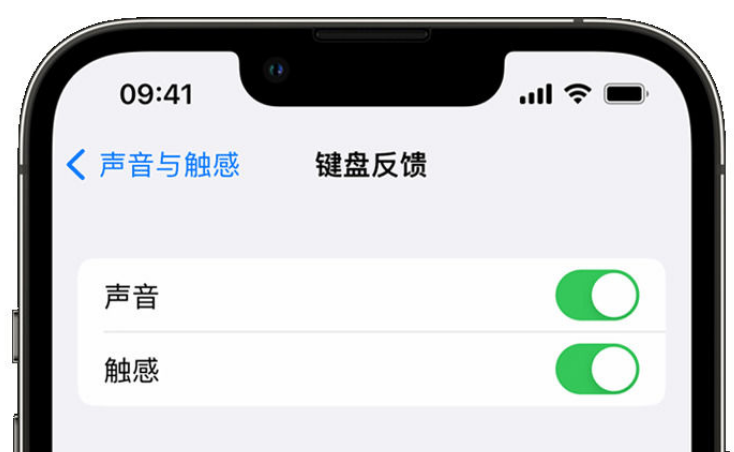 通海苹果手机维修分享iPhone 14触感键盘使用方法 