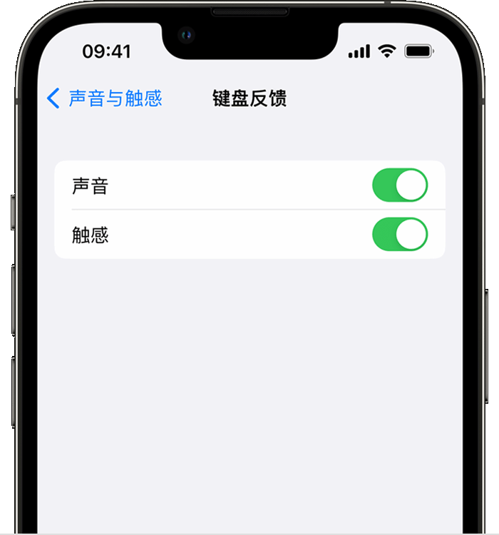 通海苹果14维修店分享如何在 iPhone 14 机型中使用触感键盘 