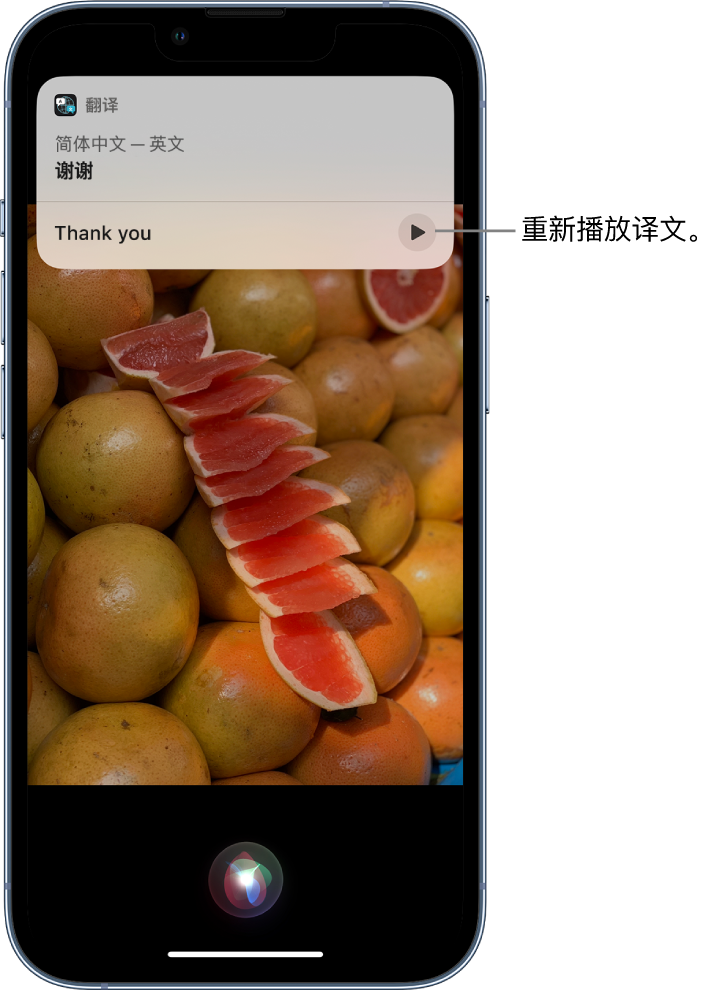 通海苹果14维修分享 iPhone 14 机型中使用 Siri：了解 Siri 能帮你做什么 