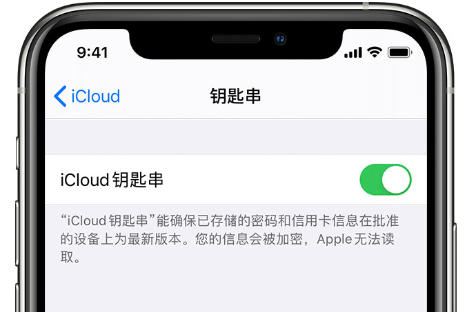 通海苹果手机维修分享在 iPhone 上开启 iCloud 钥匙串之后会储存哪些信息 