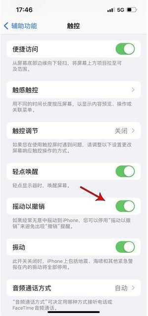 通海苹果手机维修分享iPhone手机如何设置摇一摇删除文字 