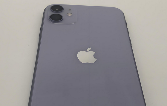 通海苹果11系统维修分享iPhone11手机系统崩溃无法开机如何解决 